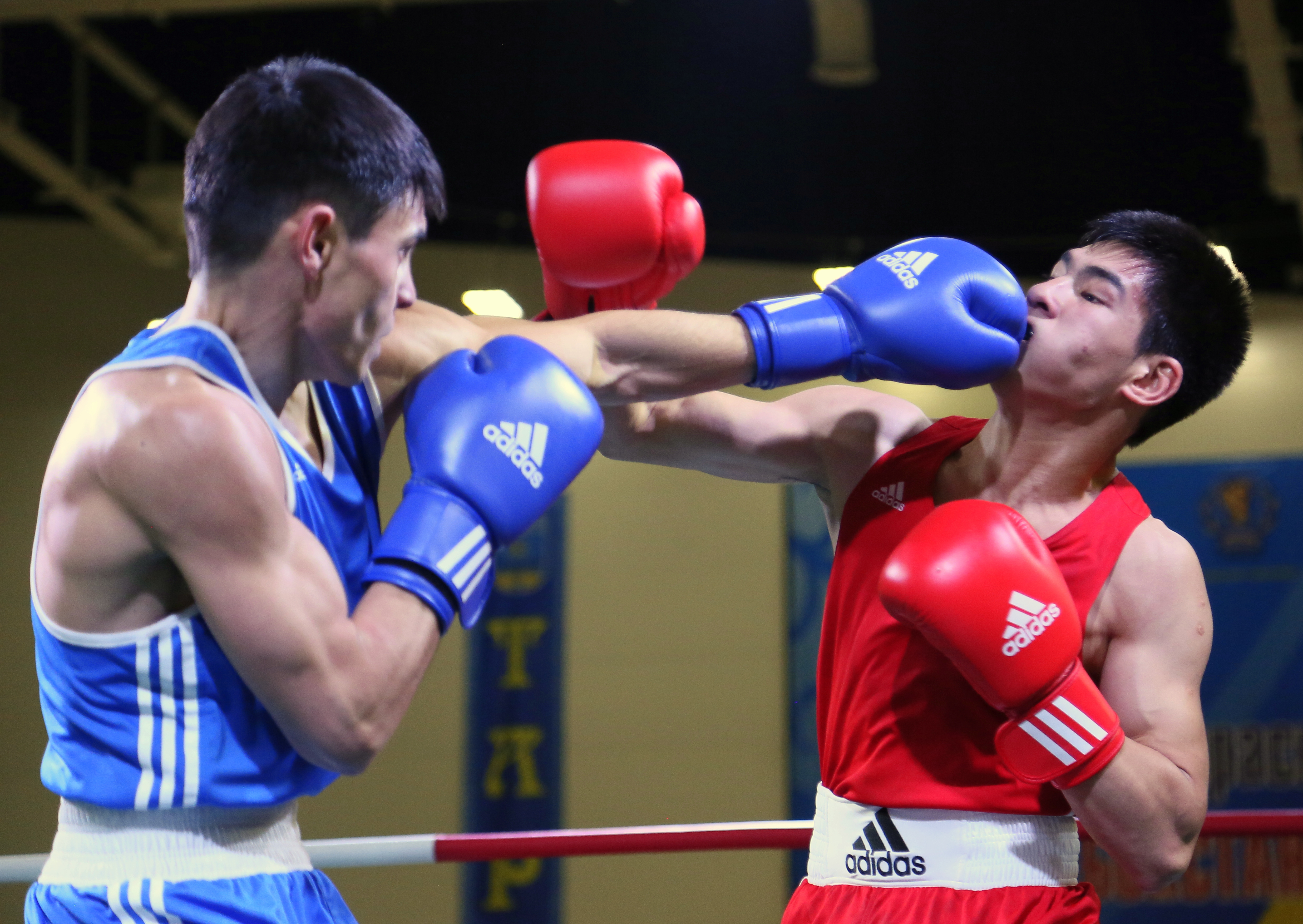 Бокс чемпионат казахстана. Боксеры Казахстана. Boxing in Kazakhstan.